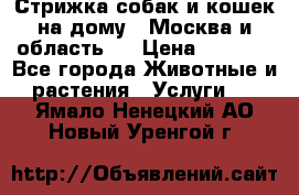 Стрижка собак и кошек на дому.  Москва и область.  › Цена ­ 1 200 - Все города Животные и растения » Услуги   . Ямало-Ненецкий АО,Новый Уренгой г.